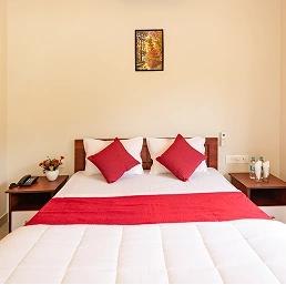 Premium Bedding & Linens